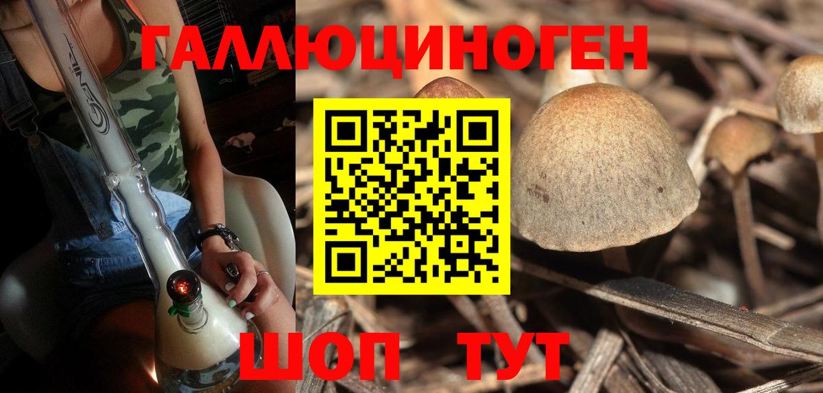 Псилоцибиновые грибы мухоморы Петрозаводск